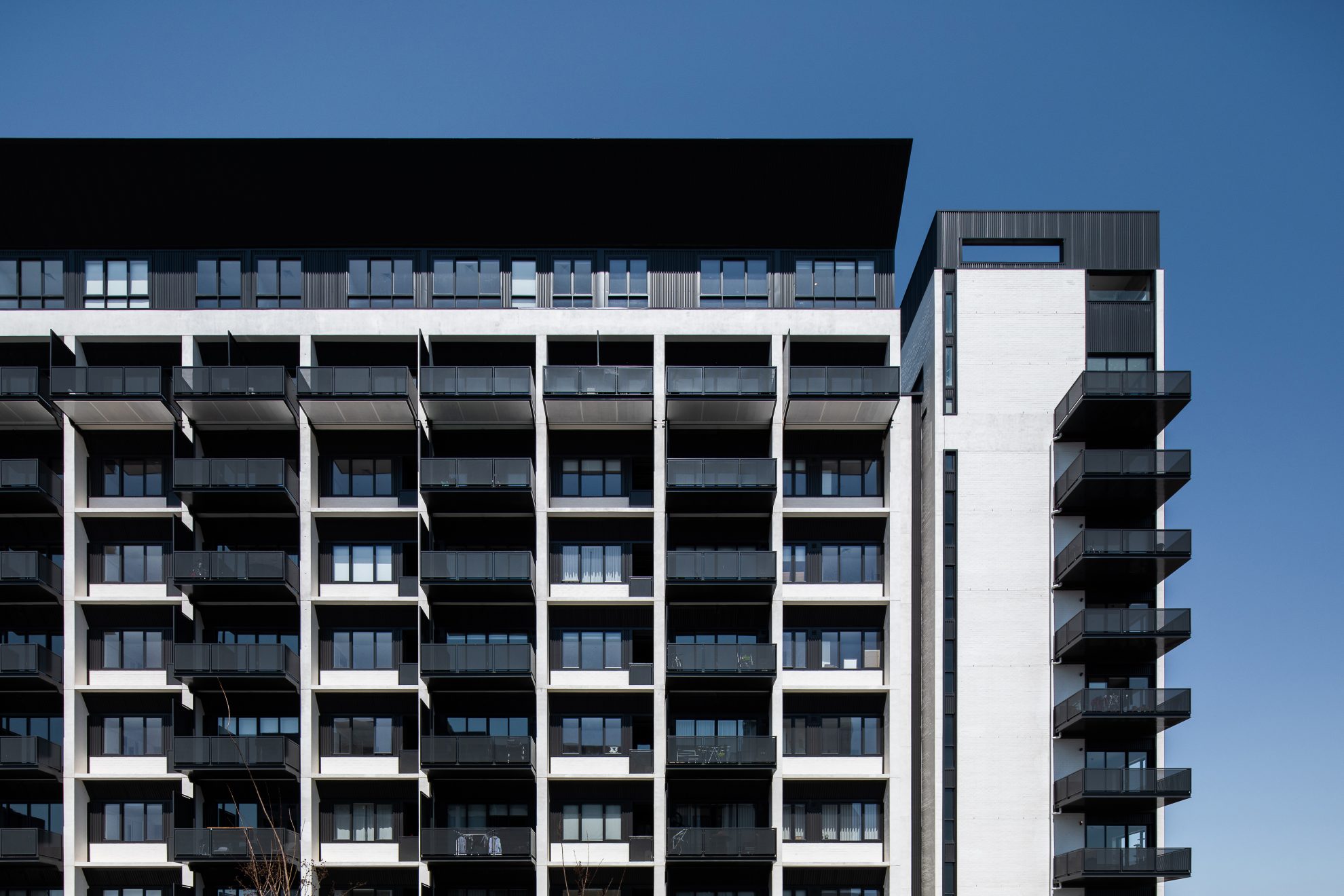 Alexander Albemarle Apartments | Cox Architecture