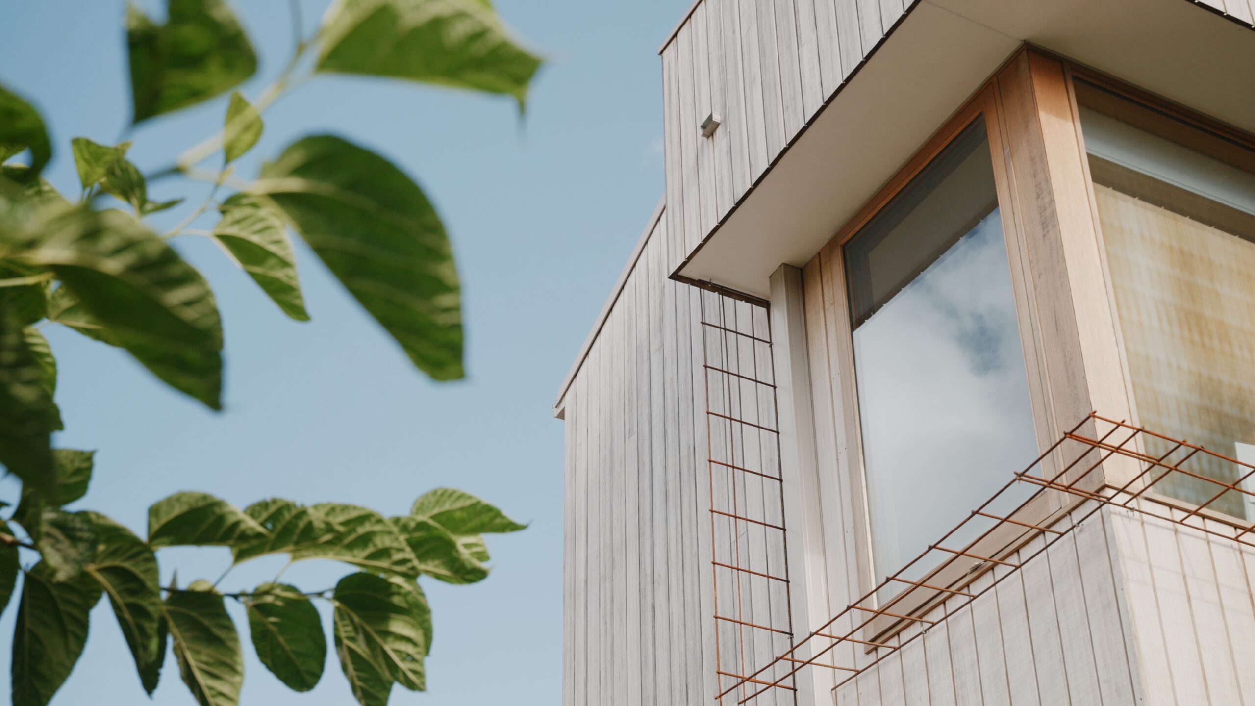 Timber-clad upper-storey extension with large windows and climbing-plant trellises.